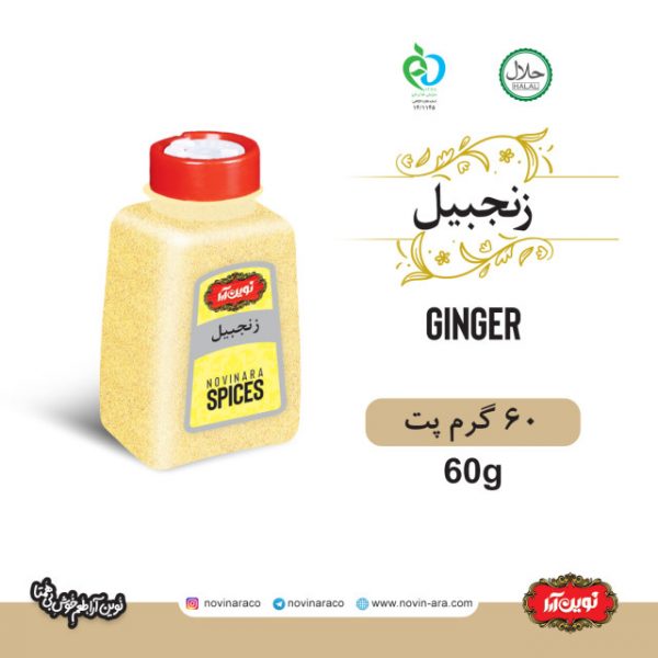 زنجفیل نوین آرا